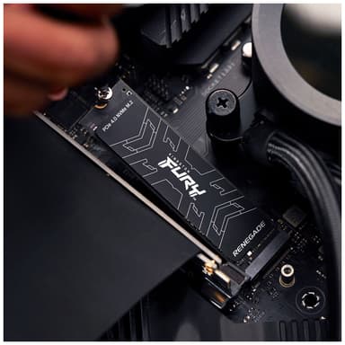 Kingston FURY Renegade PCIe 4.0 NVMe M.2 intern SSD (500GB)