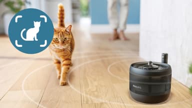 Philips Pet Series vannfontene PAW3210/02 (sort)