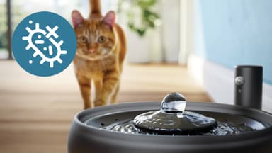 Philips Pet Series vannfontene PAW3210/02 (sort)