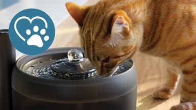 Philips Pet Series vannfontene PAW3210/02 (sort)