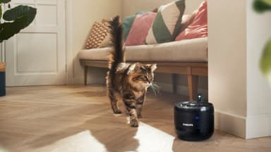 Philips Pet Series vannfontene PAW3210/02 (sort)