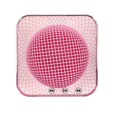 Paw Patrol Karaoke Mic Pink