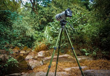 Leofoto Summit Tripod LM-364CL (Olive)