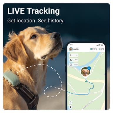 Tractive DOG XL GPS tracker hund (grønn)