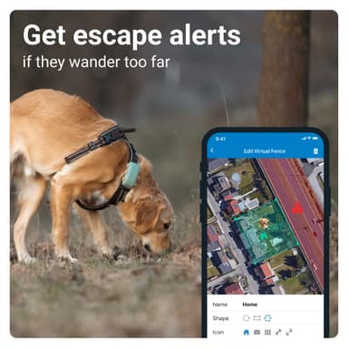 Tractive DOG XL GPS tracker hund (grønn)