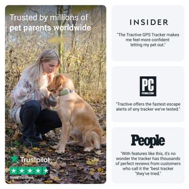 Tractive DOG XL GPS tracker hund (grønn)