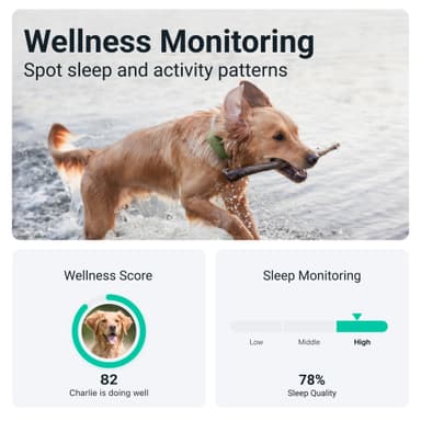 Tractive DOG XL GPS tracker hund (grønn)