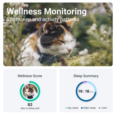 Tractive CAT Mini GPS tracker katt (blå)