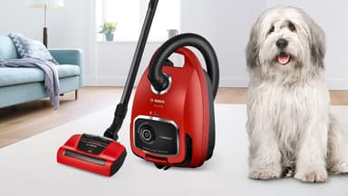 Bosch Serie 6 ProAnimal støvsuger BGL6PET1