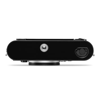 Braun Compagno 8x26 WP
