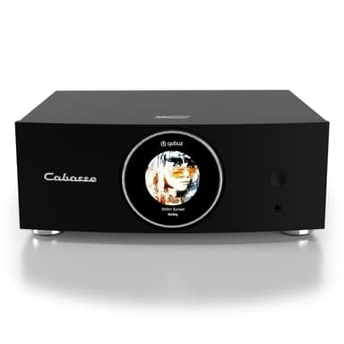 Cabasse AMP 240 S