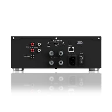 Cabasse AMP 240 S