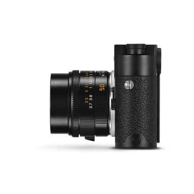Braun Compagno 8x26 WP