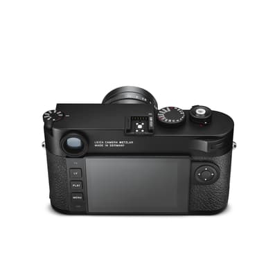 Braun Compagno 8x26 WP