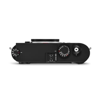 Braun Compagno 8x26 WP