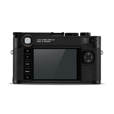 Braun Compagno 8x26 WP