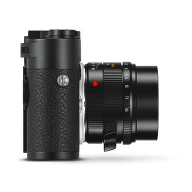 Braun Compagno 8x26 WP