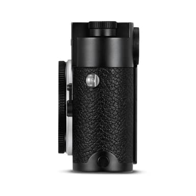 Braun Compagno 8x26 WP