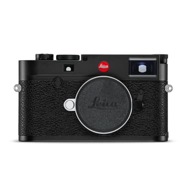 Braun Compagno 8x26 WP