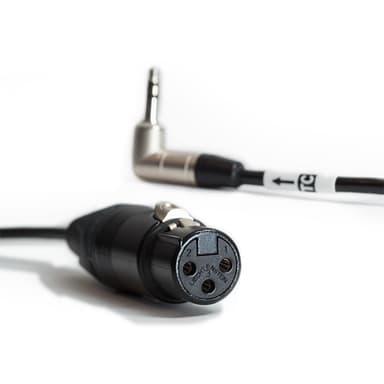 Tentacle Kabel XLR Adapter til Tentacle
