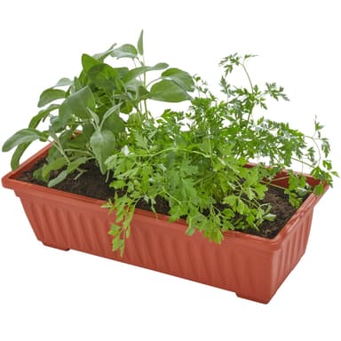 Vertikal blomsterkasse med 4 kasser 52x21x127cm - brun