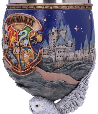 Nemesis Now Harry Potter (Hogwarts) beger