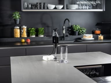 Bamix Mono 200W stavmikser 26545 (sort)