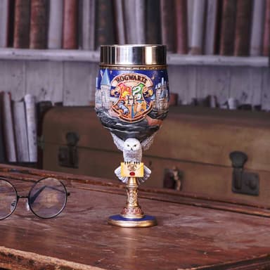 Nemesis Now Harry Potter (Hogwarts) beger