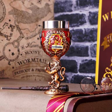 Nemesis Now Harry Potter (Gryffindor) beger