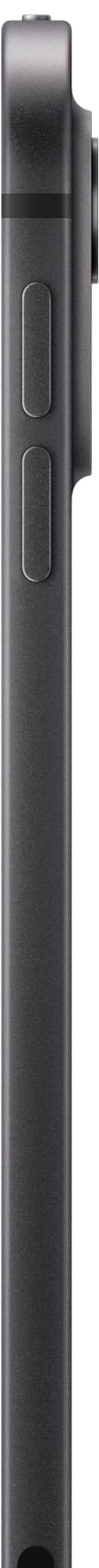 iPad Pro 11" M4 2TB WiFi + 5G (Stellarsvart)