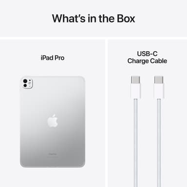iPad Pro 11" M4 2TB WiFi + 5G (Sølv)