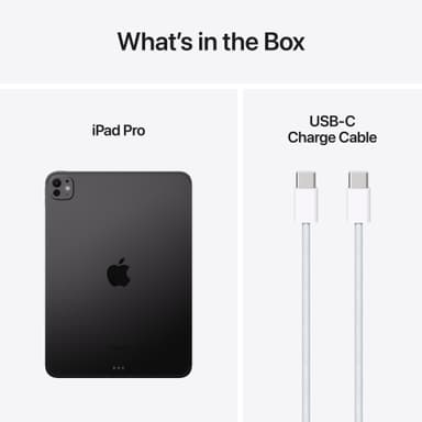 iPad Pro 11" M4 2TB WiFi + 5G (Stellarsvart)