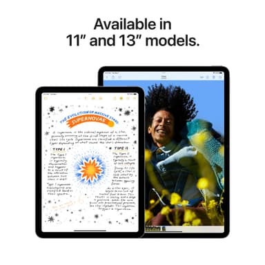 DEMO iPad Air 13 (2024) 128GB WiFi (Stellargrå)