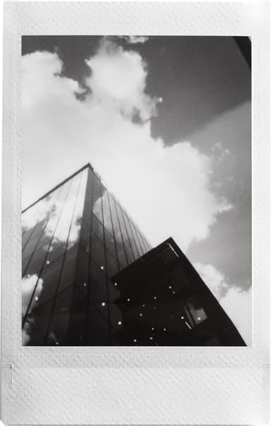 Fujifilm Instax Mini Monochrome instant-film (10-pakke)