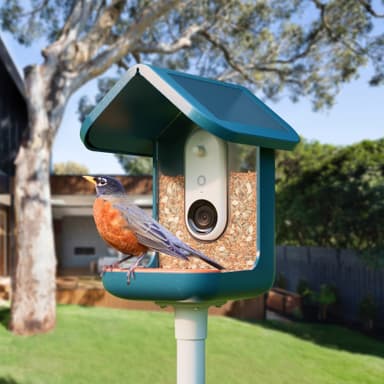 Bird Buddy solcelledrevet fuglemater med kamera (blå)