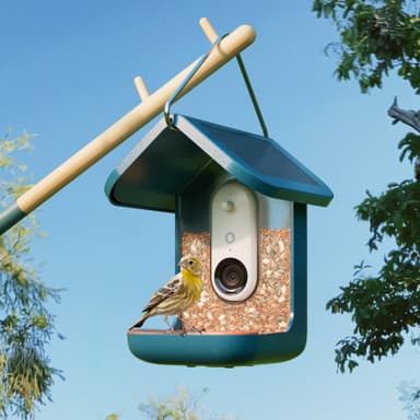 Bird Buddy solcelledrevet fuglemater med kamera (blå)