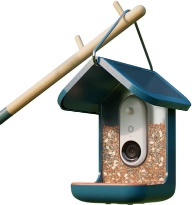 Bird Buddy solcelledrevet fuglemater med kamera (blå)