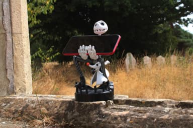CABLE GUYS - JACK SKELLINGTON