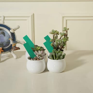 Vannbestandige planteetiketter / planteskilt med hull PVC 100-pak