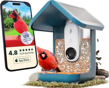 Bird Buddy solcelledrevet fuglemater med kamera (blå)