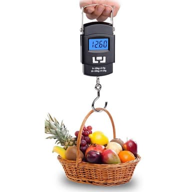 Bagasjevekt med krok 50 kg / 10 g