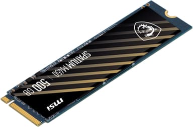 MSI Spatium M450 M.2 SSD (500 GB)