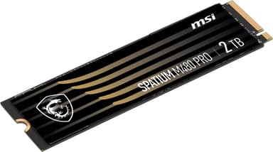 MSI Spatium M480 Pro M.2 SSD (2 TB)