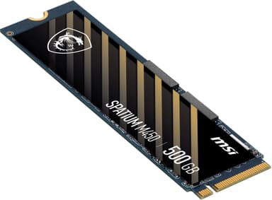 MSI Spatium M450 M.2 SSD (500 GB)
