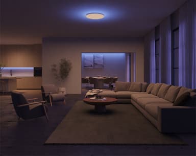 Philips Hue Datura round S taklampe 48 W