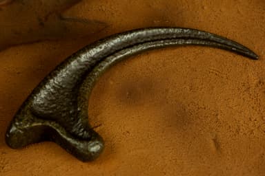 Doctor Collector Jurassic Park actionfigur (Raptor Claw)
