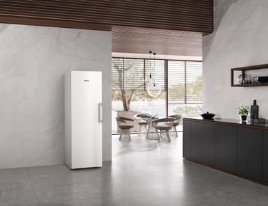 Miele fryseskap FNS4382EwsNEU2