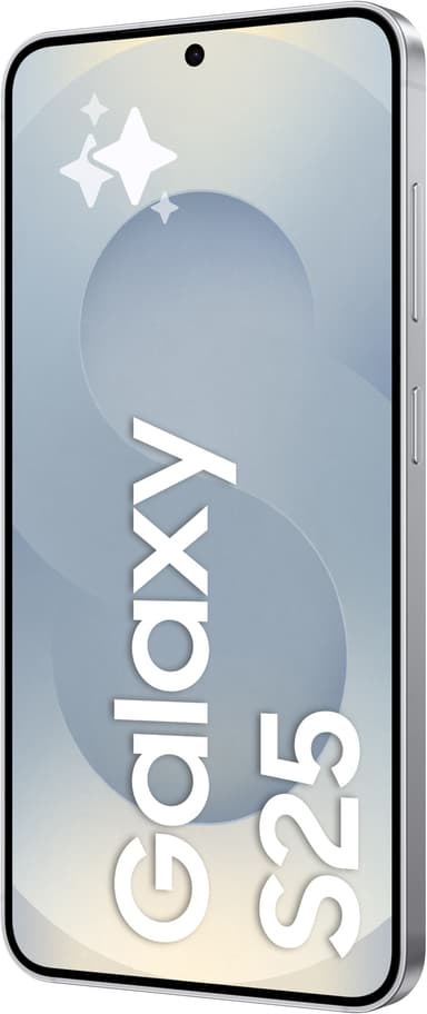Samsung Galaxy S25 5G smarttelefon 12/256GB (Silver Shadow)