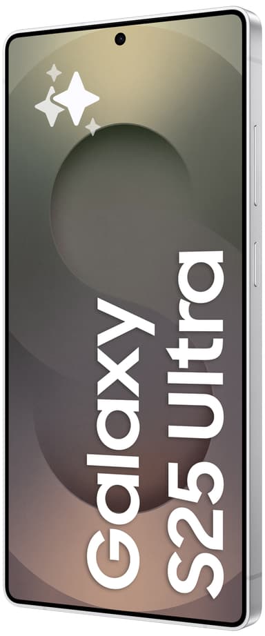 Samsung Galaxy S25 Ultra 5G smarttelefon 12/1TB (Titanium Silver)