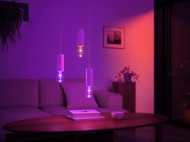 Philips Hue Lightguide LED lyspære 6,8 W E27